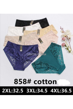 Majtki damskie (2XL-4XL) 858