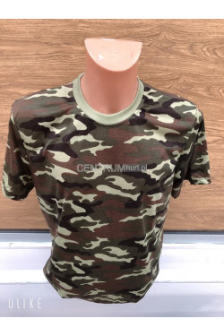 Koszulka męska (M-4XL) C2105