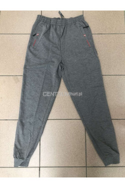 Spodnie dresowe męskie (M-4XL) C2124