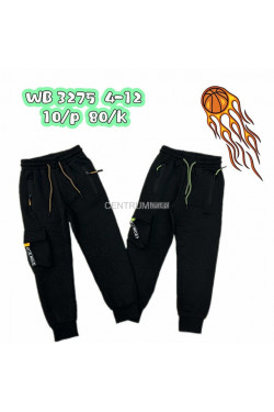 Spodnie dresowe chłopięce (4-12) WB3275