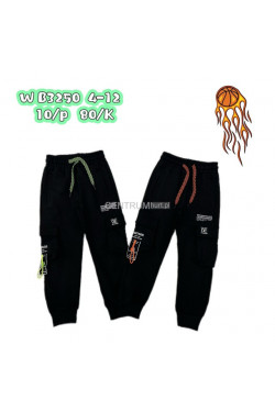 Spodnie dresowe chłopięce (4-12) WB3250