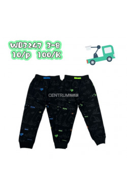 Spodnie dresowe chłopięce (3-8lat) WB3247