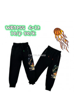 Spodnie dresowe chłopięce (4-12) WB3255