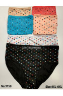 Majtki damskie (4XL-6XL) G16