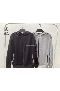 Bluza męska (XL-5XL) 3827