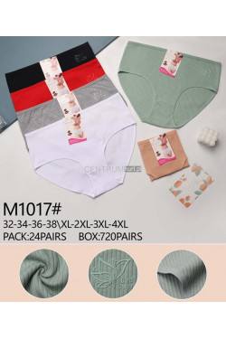 Majtki damskie (XL-4XL) 1