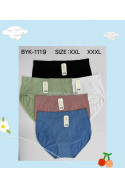 Majtki damskie (XL-3XL) 2