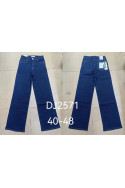 Jeansy damskie (40-48) DJ25