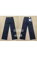 Jeansy damskie (40-48) DJ25