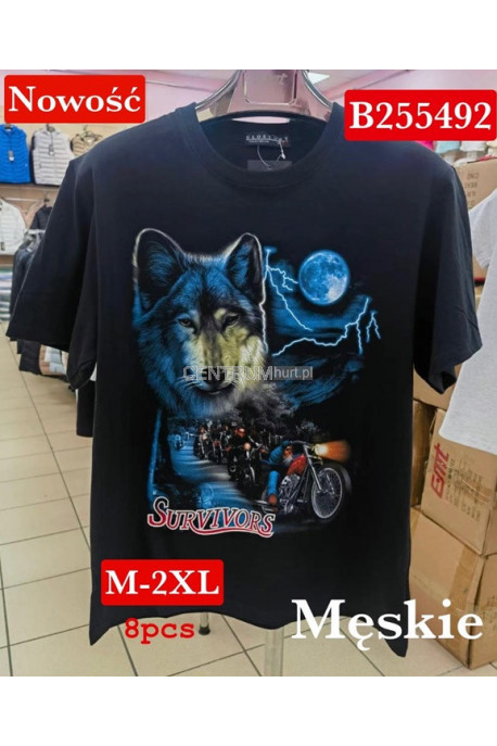 Koszulki męskie (M-2XL) 1