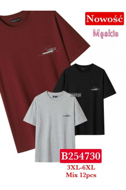Koszulki męskie (3XL-6XL) 4730