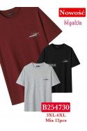Koszulki męskie (3XL-6XL) 1