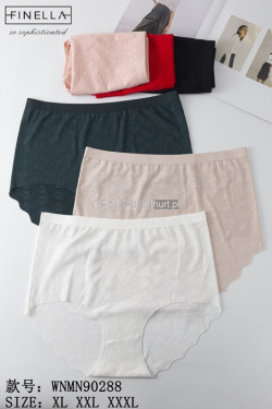 Majtki damskie (XL-3XL) 90288
