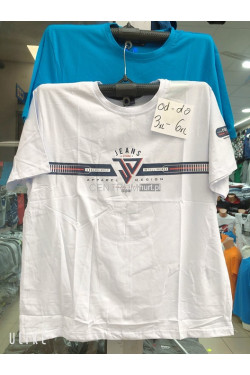 Koszulka męska Turecka (3XL-6XL) 3329