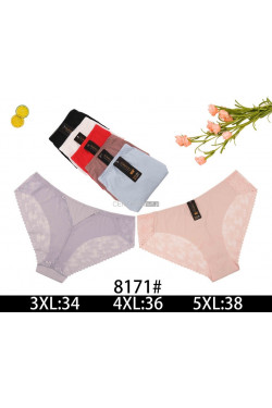 Majtki damskie (3XL-5XL) 8171