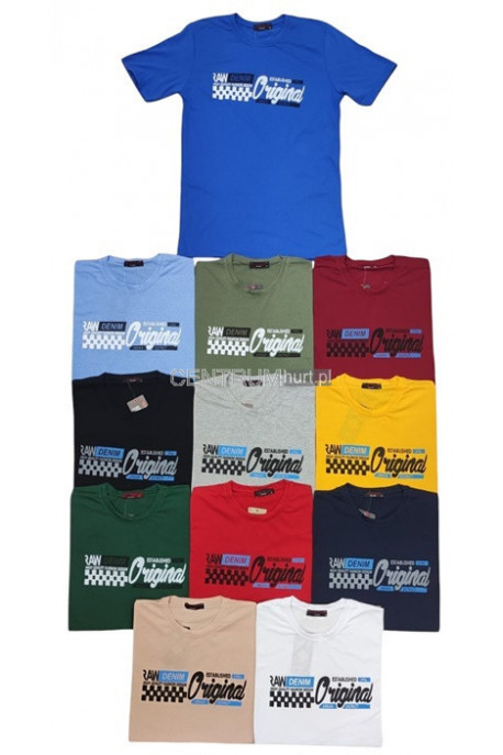 Koszulka męska (L-3XL) 65