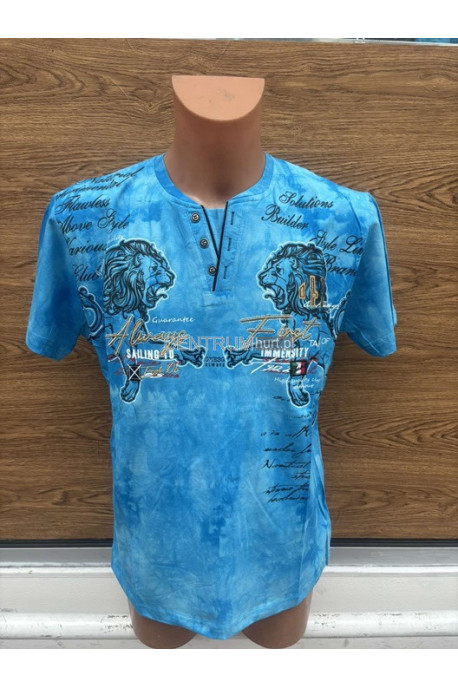 Koszulka męska (L-3XL) 65