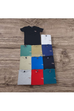 Koszulka męska (L-3XL) 6579