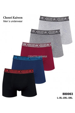 Bokserki męskie (L-3XL) 880063