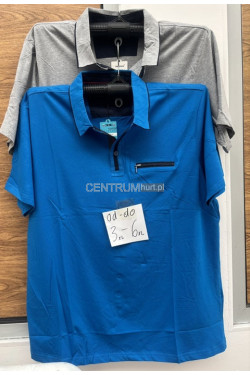 Koszulka męska (3XL-6XL) 2245