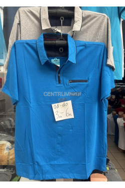 Koszulka męska (3XL-6XL) 2246