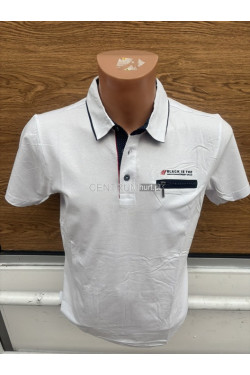 Koszulka męska (M-2XL) 2247