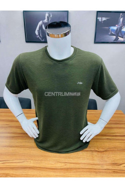 Koszulka męska (M-2XL) 2252