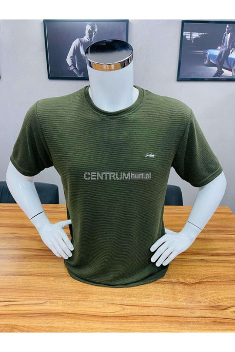 Koszulka męska (M-2XL) 22