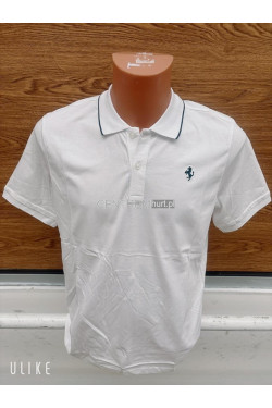 Koszulka męska (M-2XL) 2282