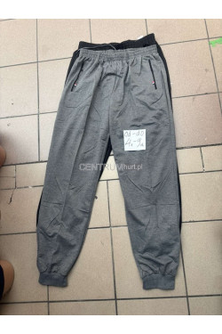 Spodnie dresowe męskie (4XL-9XL) 2304
