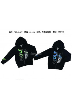 Bluza chłopięca (8-16) WB-3407
