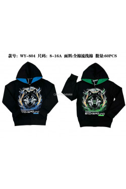 Bluza chłopięca (8-16) WY-804
