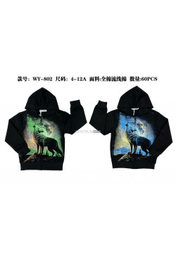 Bluza chłopięca (8-16) WY-802