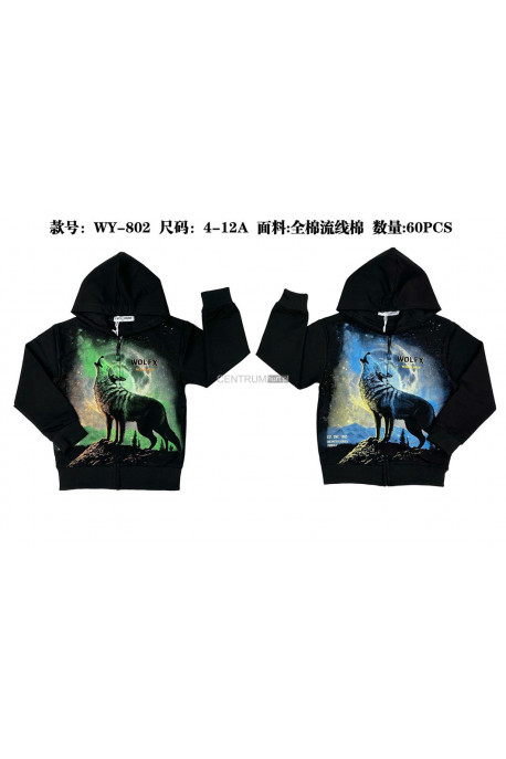Bluza chłopięca (8-16) 1