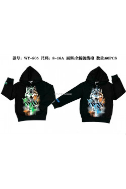 Bluza chłopięca (8-16) WY-805