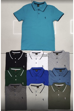 Koszulka męska (4XL-8XL) 3227