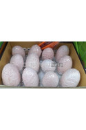 TABLET 260510
