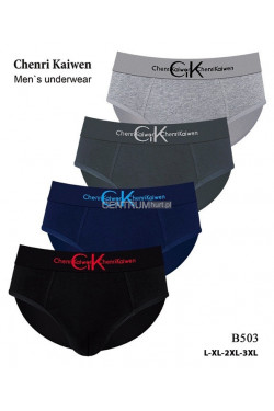 Slipy męskie (L-3XL) B503