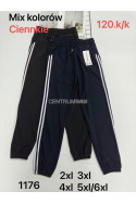 Spodnie damskie (2XL-6XL) 1