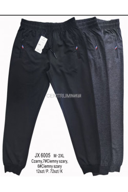 Spodnie dresowe męskie (M-2XL) JX6005