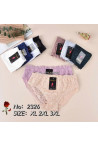 Majtki damskie (XL-3XL) 1