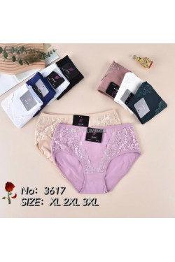 Majtki damskie (XL-3XL) 3617