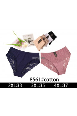 Majtki damskie (2XL-4XL) 8561