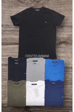 Koszulka męska (L-3XL) 8361
