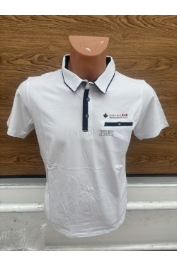 Koszulka męska (L-3XL) 8363