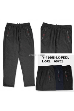 Spodnie dresowe męskie (L-5XL) Y-41668