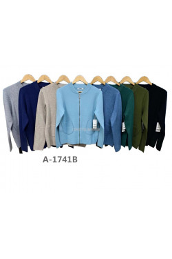 Sweter damski (L-3XL) A-1741B