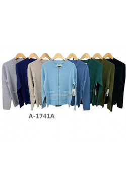 Sweter damski (L-3XL) A-1741A