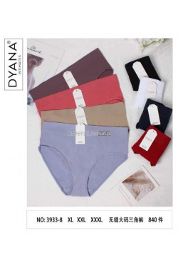 Majtki damskie (XL-3XL) 3933-8