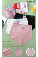 Majtki damskie (XL-3XL) 1
